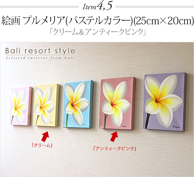 Item4,5 G vA(pXeJ[)(25cm~20cm)